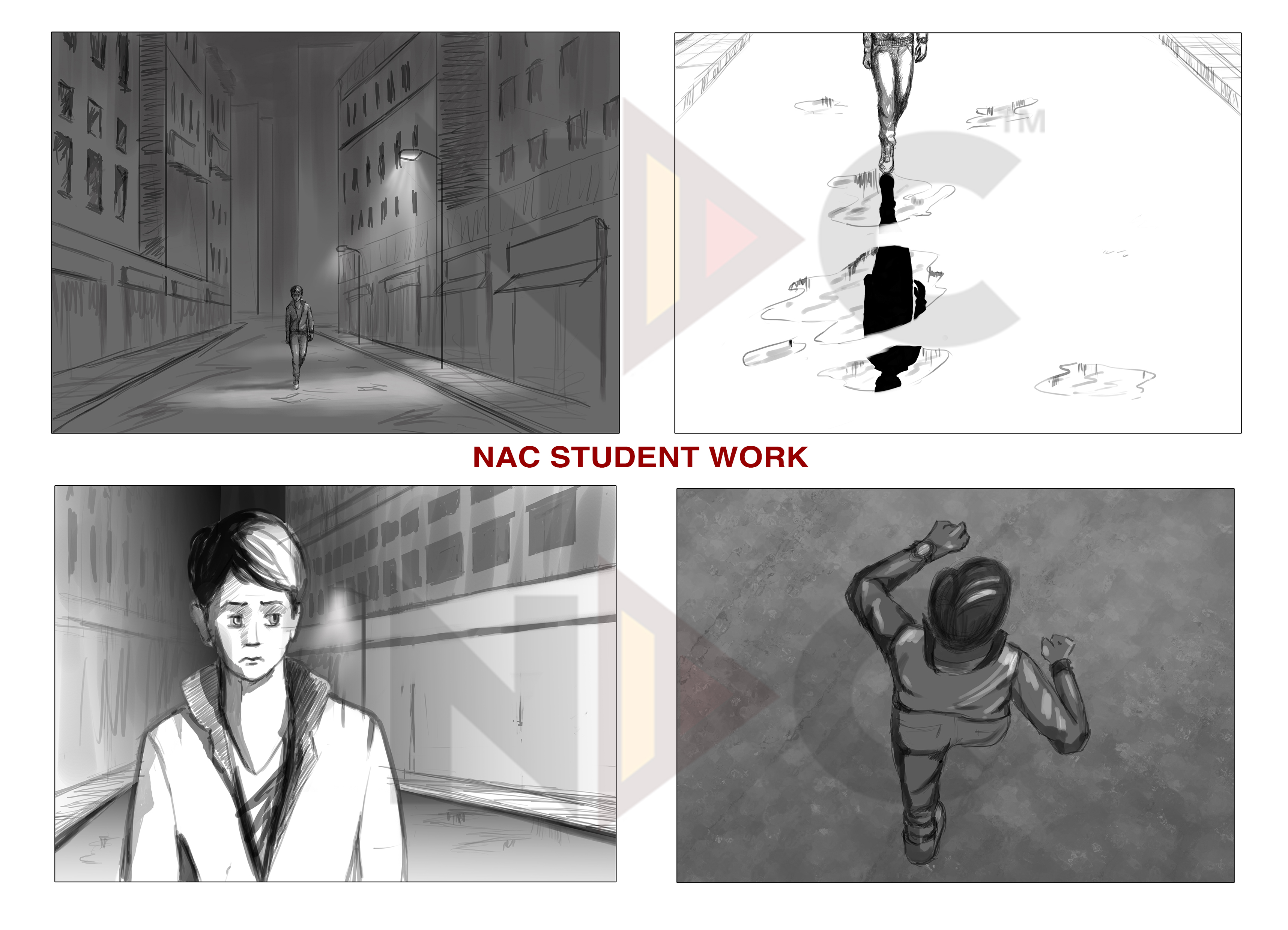 Nac Animation Instutute Pvt. Ltd. Graphics